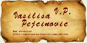 Vasilisa Pejčinović vizit kartica